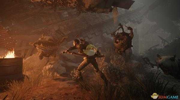 《遗迹:灰烬重生》游戏基本知识介绍