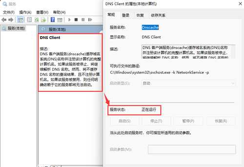 Win11找不到DNS地址怎么办?Win11找不到DNS无法访问网页解决方法