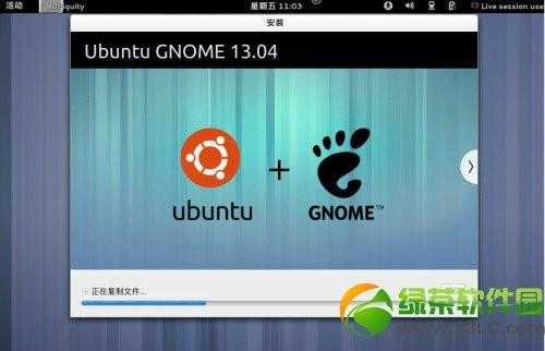 ubuntu13.04友帮拓系统图文安装教程