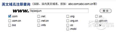 快速建立个人网站知识 域名+网络空间+站点平台